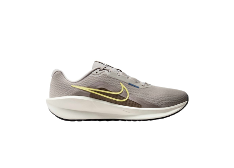 Nike Downshifter 13 (FD6454-011) grau