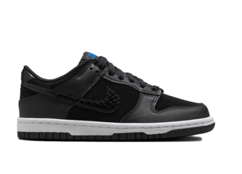 Nike Dunk Low (FV7472 001) schwarz