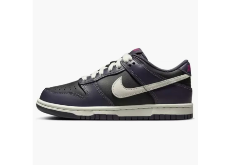Nike Dunk Low Dark Raisin GS (FB9109 003) bunt