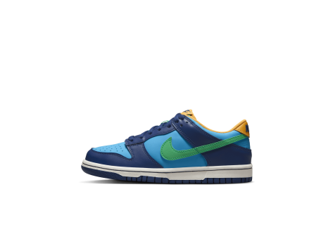 Nike Dunk Low (DV1693-401) blau
