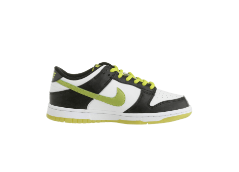Nike Dunk Low (306339-133) bunt