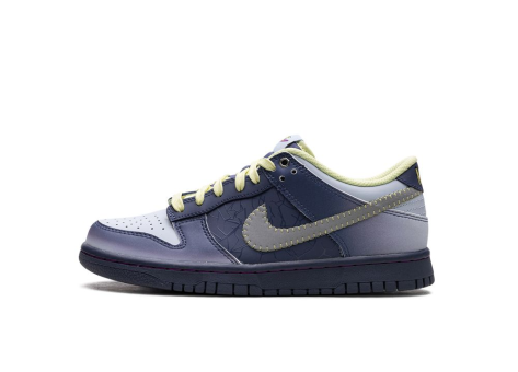 Nike Dunk Low GS (FQ8354-491) blau