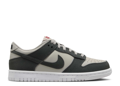 Nike Dunk Low (FZ1000 001) grau