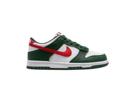 Nike Dunk Low (IO7453-323) bunt