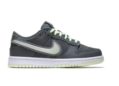 Nike Dunk Low (HQ3569 068) grau