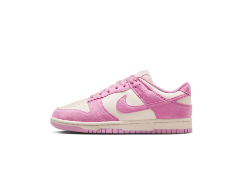 Nike Dunk Low Next Nature Rise Sail (HJ7673-101) bunt