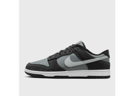 Nike Dunk Low (IB3079-001) bunt