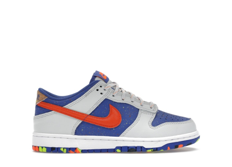 Nike Dunk Low (HJ9233 025) blau