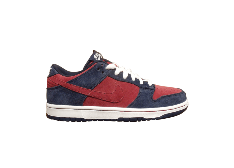 Nike Dunk Low Pro Sb (304292 404) bunt