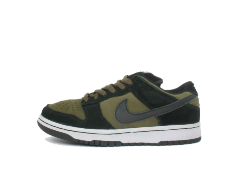 Nike SB Dunk Loden Low (304292-301) bunt