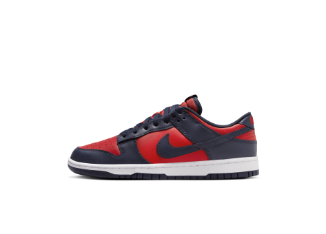 Nike Dunk Low Retro (DV0833 601) rot