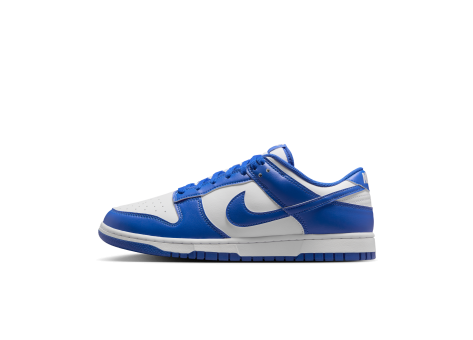 Nike Dunk Low (HF5441-112) bunt