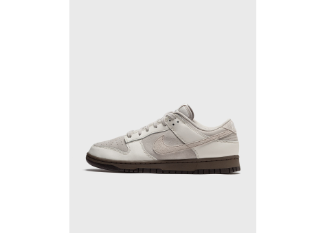 Nike Dunk Low Retro Ironstone (FD9746-001) grau