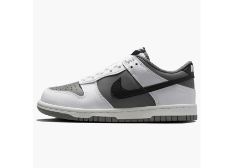 Nike Dunk Low Smoke Grey gs (HJ9202-100) bunt