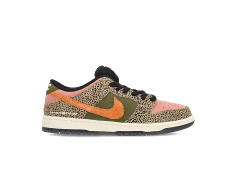 Nike Arts-Rec X Nike SB Dunk Low (IH3211-200) bunt