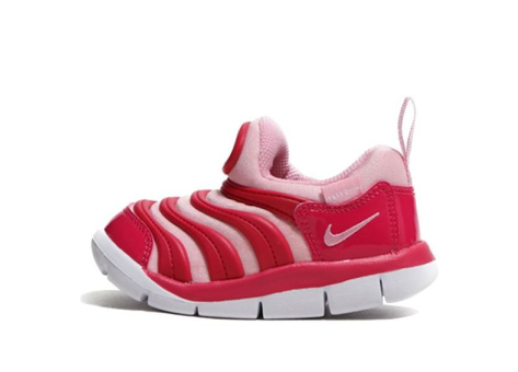 Nike Dynamo Free (343938-626) bunt