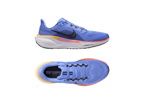 Nike Pegasus 41 (FD2723-402) blau