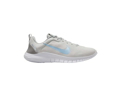 Nike Flex Experience Run 12 (DV0746-007) grau