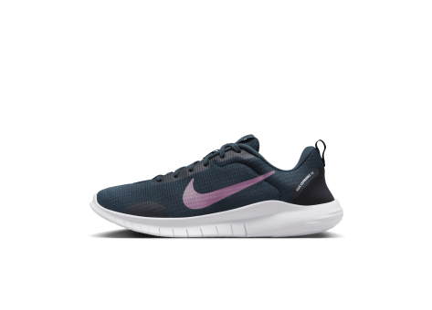 Nike Flex Experience Run 12 Stra (DV0746-401) blau