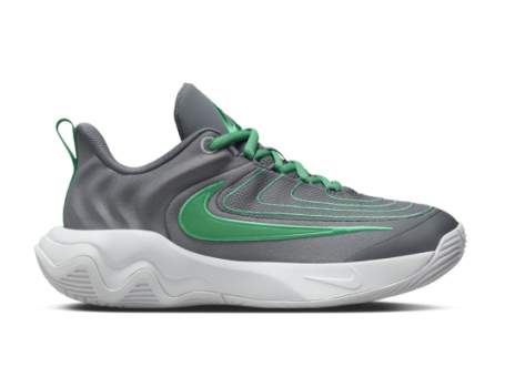 Nike Giannis Immortality 4 GS (FZ6734 002) grau