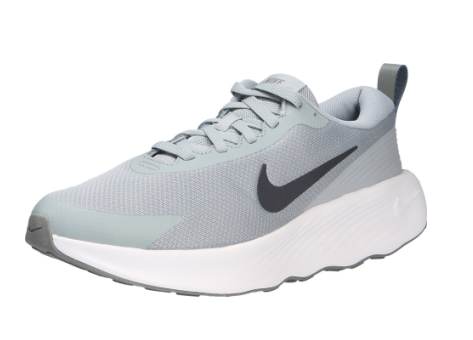 Nike Promina (FV5285-003) grau