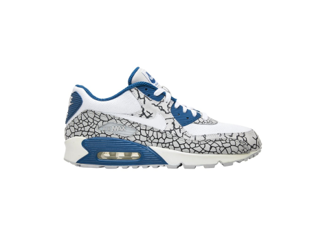 Nike Air Max 90 Premium (312334 011) bunt