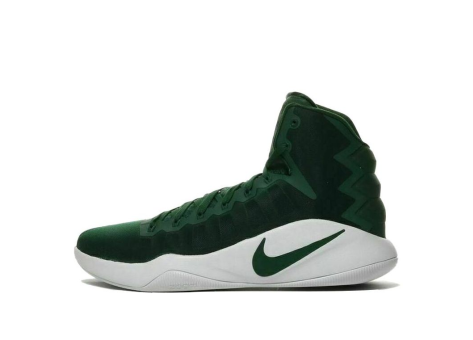 Nike Hyperdunk 2016 TB Gorge Green (856483-331) grün