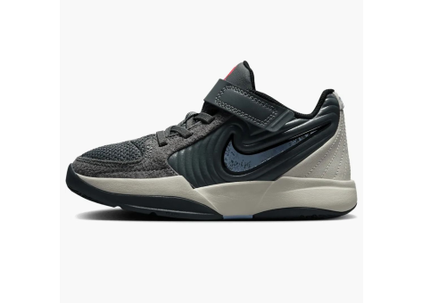 Nike Ja 2 Iron Grey ps (FV5634-003) bunt
