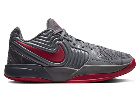 Nike Ja 2 (FZ7304 001) grau