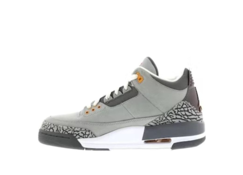 Jordan 3 Retro LS Grey Cool 2006 (315297 062) grau