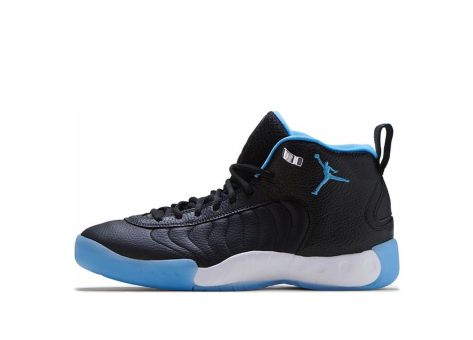 Jordan Jumpman Pro (CK0009-001) bunt