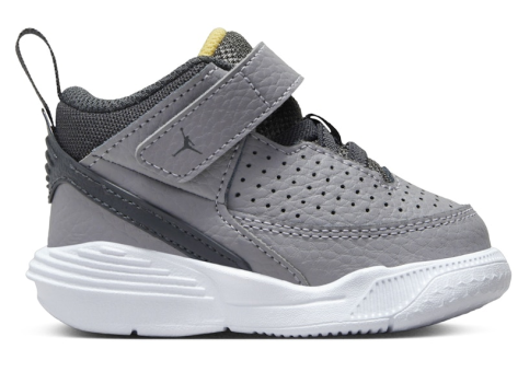 Jordan Max Aura 5 (DZ4355-007) grau