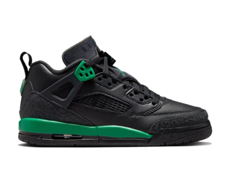 Jordan Spizike Low (FQ3950-003) schwarz