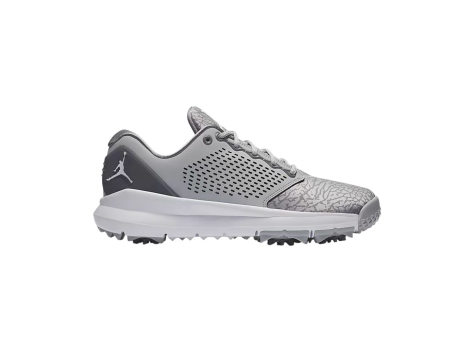 Jordan Trainer ST G (AH7747 001) grau