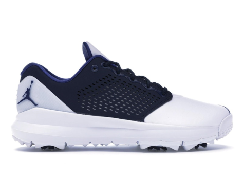 Jordan Trainer ST G (AH7747 101) bunt