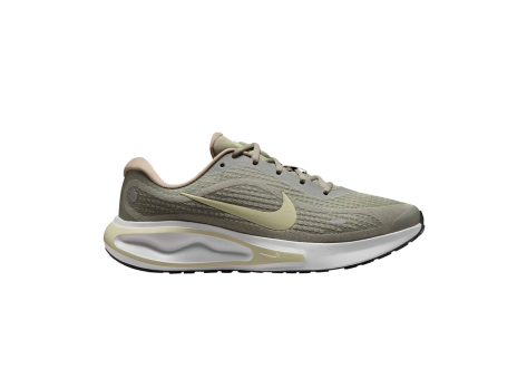 Nike Journey Run (FN0228-301) beige