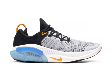 Nike Joyride Run Flyknit (AQ2730-006) bunt