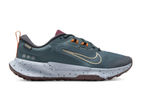 Nike Juniper Trail 2 GORE TEX (FB2065 300) blau