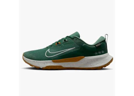 Nike Juniper Trail 2 Gore Tex Fir Desert Ochre Bright Crimson Light Silver (HM9734-301) grün