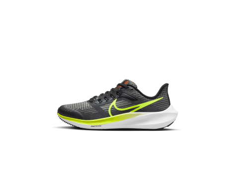 Nike Laufschuhe Air Zoom Pegasus 39 (DM4015-002) schwarz