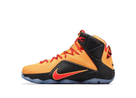 Nike LeBron 12 Witness (684593-830) bunt