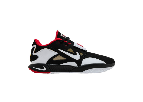 Nike LeBron 21 (HQ3480-001) bunt