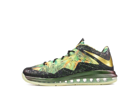 Nike LeBron X Celebration Pack (628622-900) bunt