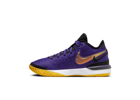 Nike Zoom LeBron NXXT Gen (DR8784-500) lila