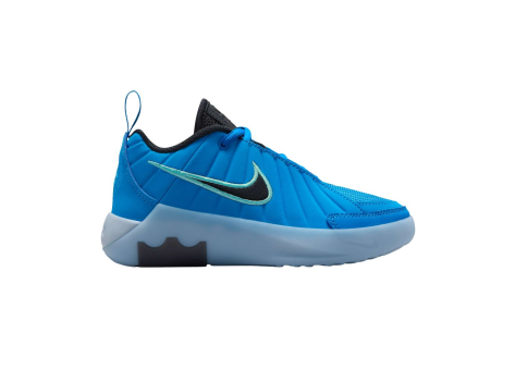 Nike LeBron Witness 9 (HV2271-400) blau