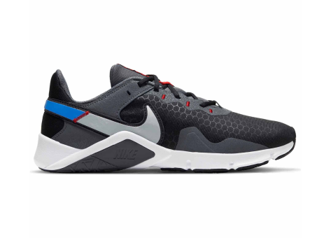 Nike Legend Essential 2 (CQ9356-014) bunt