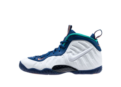 Nike Little Posite Pro (644792-404) bunt
