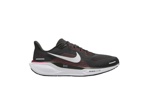Nike Air Zoom Pegasus 41 (FZ5076-200) schwarz