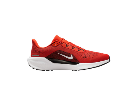 Nike Air Zoom Pegasus 41 (IB3202-800) rot