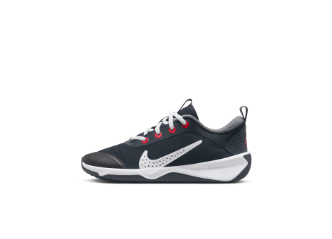 Nike Omni Multi Court (DM9027-402) blau